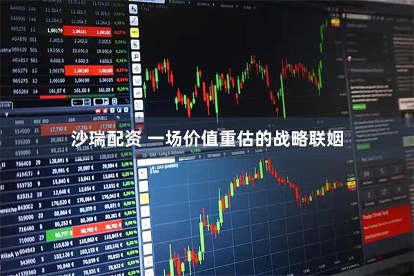 沙瑞配资 一场价值重估的战略联姻