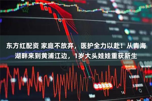 东方红配资 家庭不放弃，医护全力以赴！从青海湖畔来到黄浦江边，1岁大头娃娃重获新生