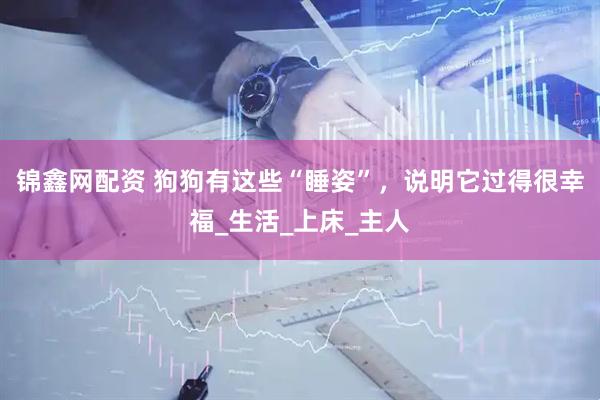 锦鑫网配资 狗狗有这些“睡姿”，说明它过得很幸福_生活_上床_主人